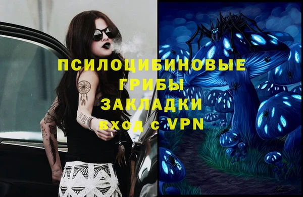 прущая мука Алзамай