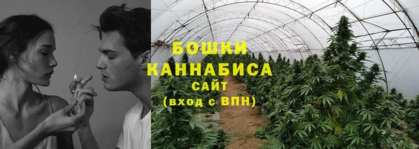мет Алексин