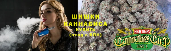 ГАЛЛЮЦИНОГЕННЫЕ ГРИБЫ Абаза