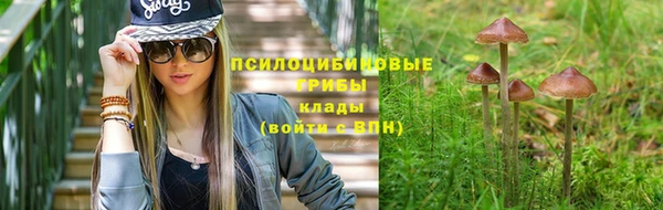 шишки Абдулино