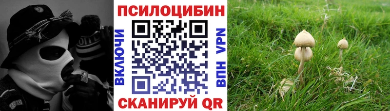 Псилоцибиновые грибы мухоморы omg Хабаровск